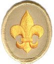 scout badge