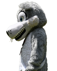 DSC_3359__1_-removebg-preview