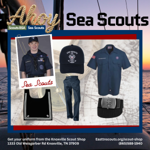 Scouts BSA (750 x 750 px)