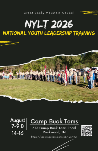 NYLT flyer_half page